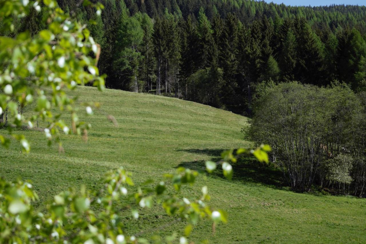 Landhaus Holzer Sankt Margarethen im Lungau Esterno foto